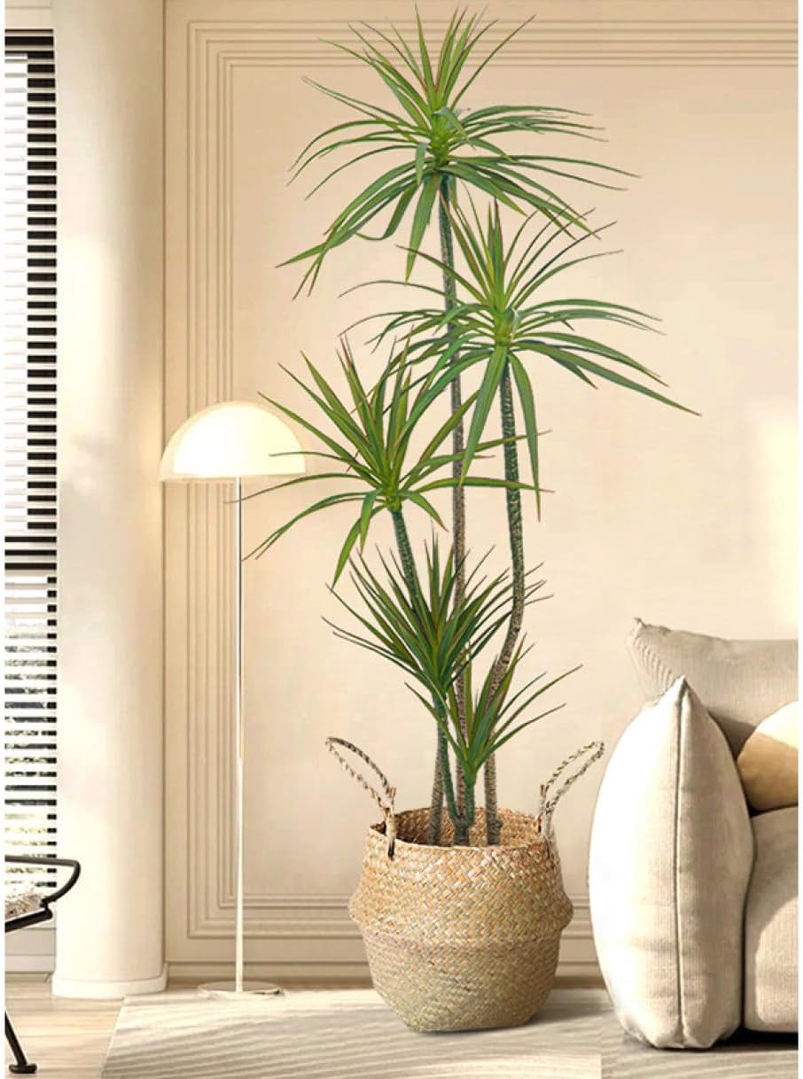 老爺柿の雌花、雄花 の検証 : 燦day毎日の徒然日記 老爺柿 雌木 実数